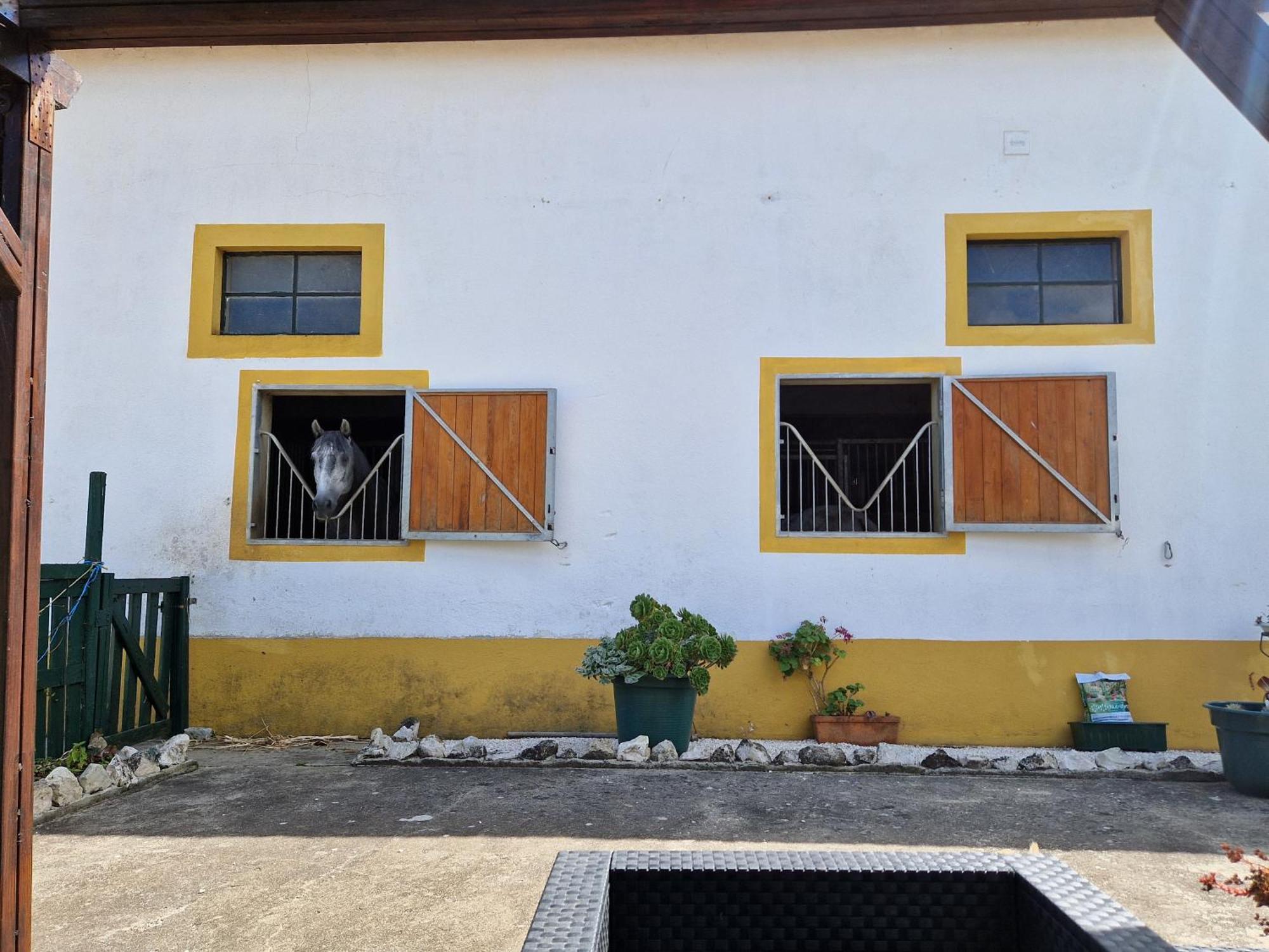 Horse Riding Country House Vila Franca de Xira Eksteriør billede