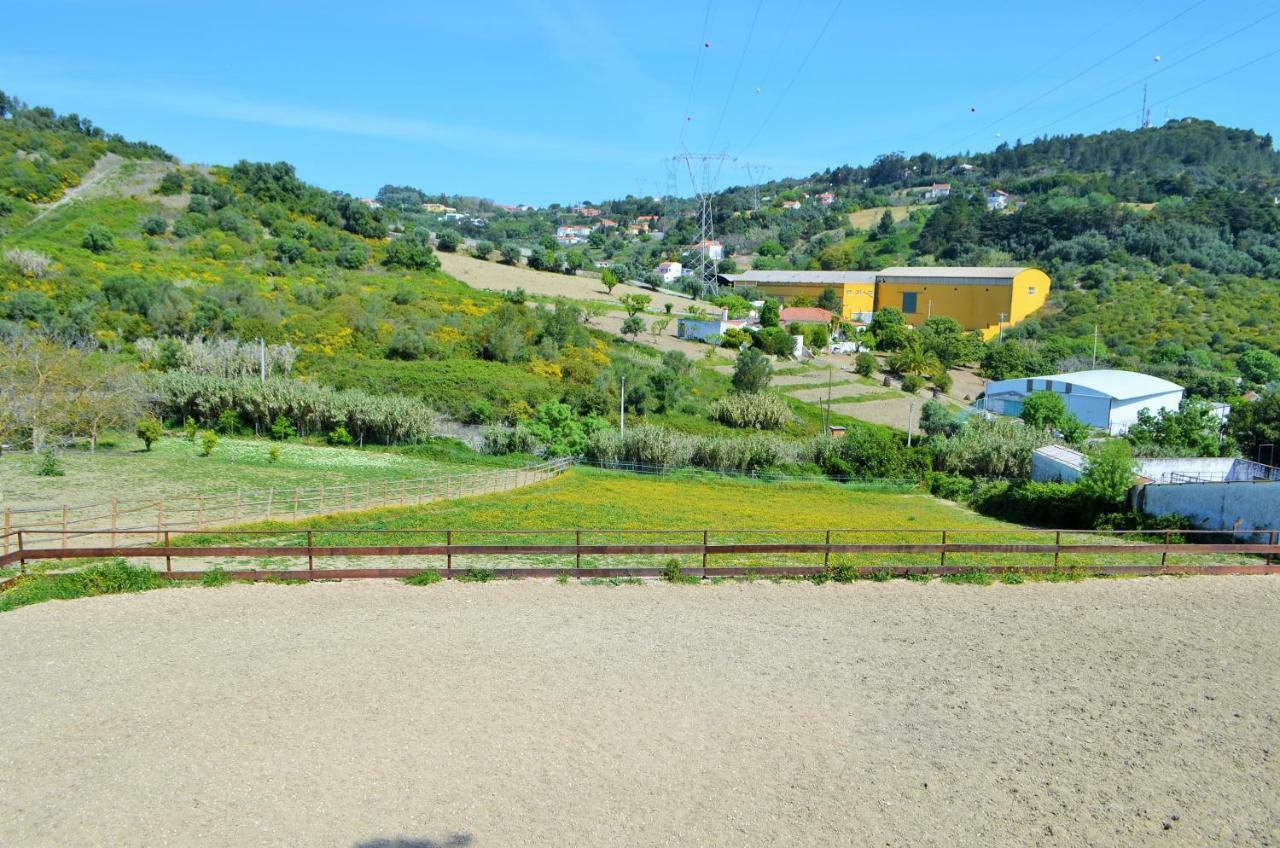 Horse Riding Country House Vila Franca de Xira Eksteriør billede